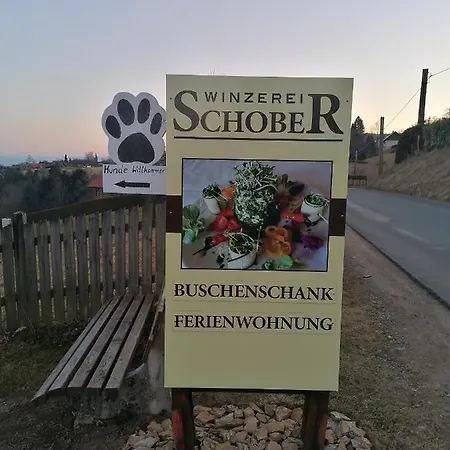 Winzerei Schober Apartment Grubberg Exterior photo
